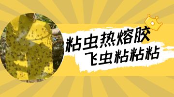 旋乐吧spin8·(中国)手机版官方网站